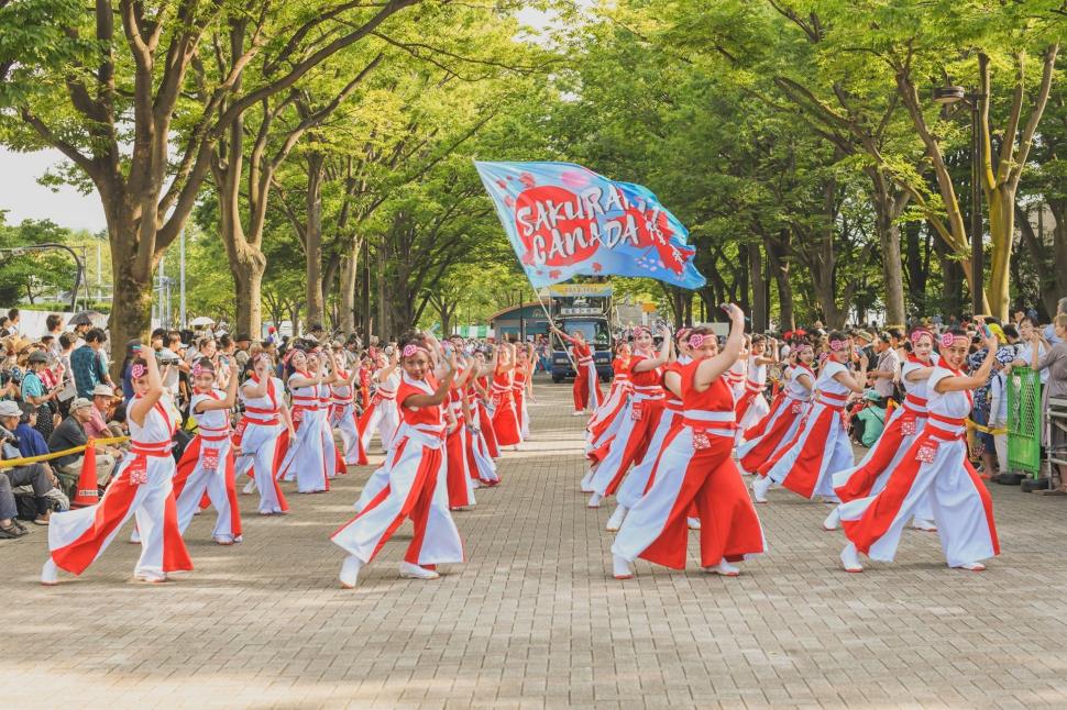Sakuramai performing at Super Yosakoi 2019